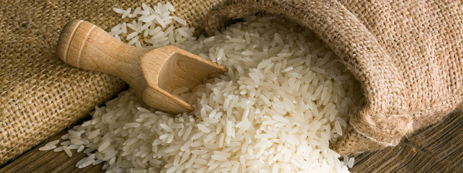 Tenders to Select Suppliers to Import Rice Called